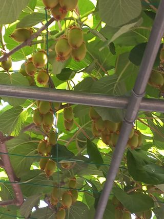 이성민님의 자유주제 · 자유게시판 작성글 사진