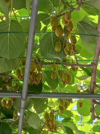 이성민님의 자유주제 · 자유게시판 작성글 사진