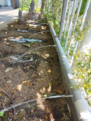 이성민님의 자유주제 · 자유게시판 작성글 사진