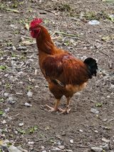 팜모닝 자유주제·사진전 게시글 이미지