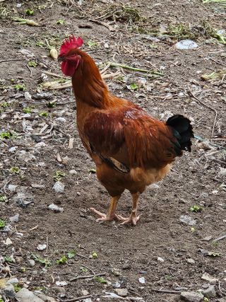 땅끝해남님의 자유주제 · 사진전 작성글 사진