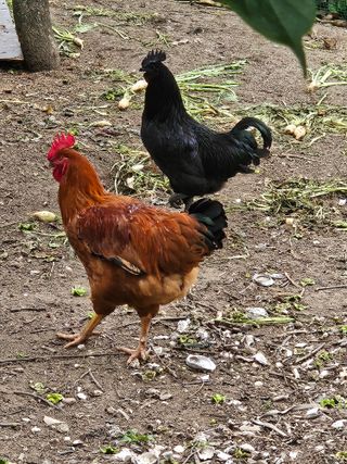 땅끝해남님의 자유주제 · 사진전 작성글 사진