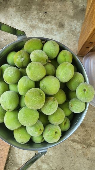 이인숙님의 자유주제 · 자유게시판 작성글 사진