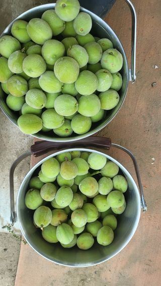 이인숙님의 자유주제 · 자유게시판 작성글 사진