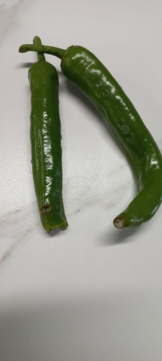 장도리님의 고추 · 병해충상담 작성글 사진