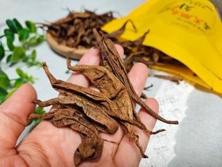 이창신님의 자유주제 · 자유게시판 작성글 사진