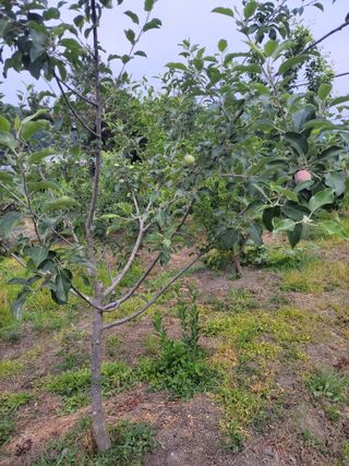 우영옥님의 자유주제 · 자유게시판 작성글 사진