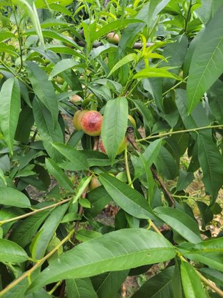 우영옥님의 자유주제 · 자유게시판 작성글 사진