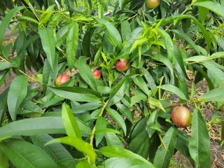 우영옥님의 자유주제 · 자유게시판 작성글 사진