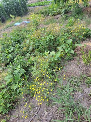 우영옥님의 자유주제 · 자유게시판 작성글 사진