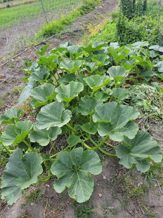 우영옥님의 자유주제 · 자유게시판 작성글 사진