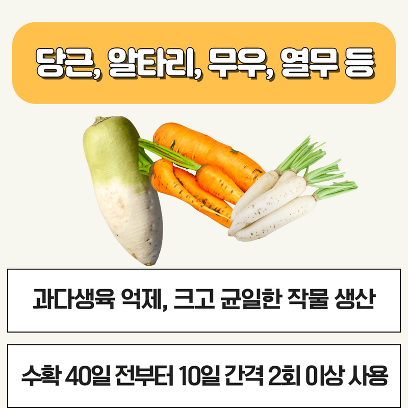삼익농자재님의 장터 판매 상품 [샤인머스켓 포도 전용 영양제 샤인왕500g 인산 가리 칼슘 도장억제] 첨부 사진
