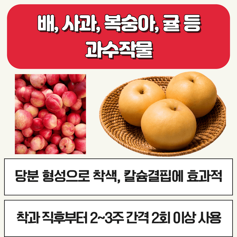 삼익농자재님의 장터 판매 상품 [샤인머스켓 포도 전용 영양제 샤인왕500g 인산 가리 칼슘 도장억제] 첨부 사진