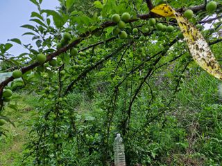 당근한개님의 자유주제 · 자유게시판 작성글 사진