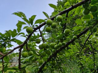 당근한개님의 자유주제 · 자유게시판 작성글 사진