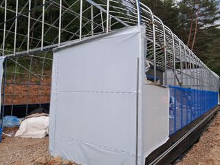 윤성진님의 고추 · 영농일지 작성글 사진