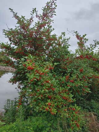 양배추15739님의 자유주제 · 자유게시판 작성글 사진