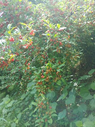 양배추15739님의 자유주제 · 자유게시판 작성글 사진