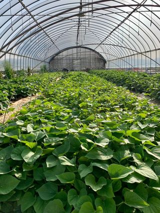 이영민님의 작성글 사진