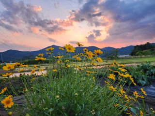 권지연.옥천.님의 자유주제 · 자유게시판 작성글 사진