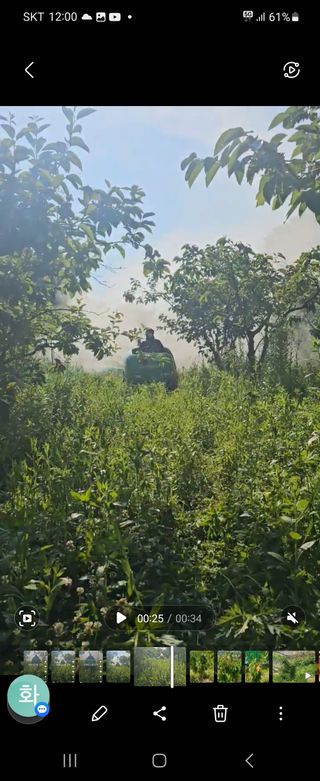 복주농장님의 자유주제 · 자유게시판 작성글 사진