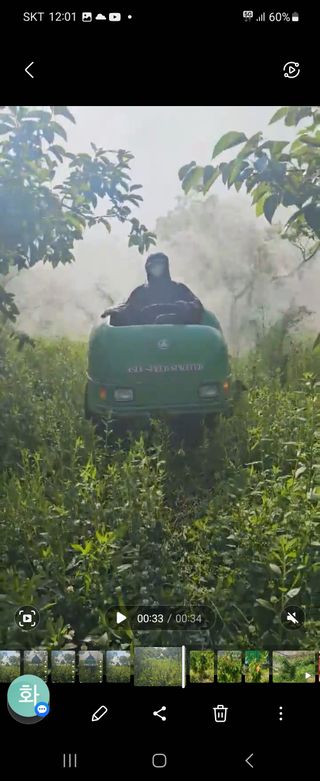 복주농장님의 자유주제 · 자유게시판 작성글 사진