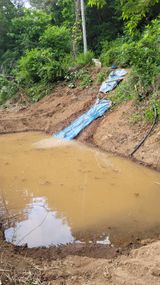 팜모닝 기타작물·영농일지 게시글 이미지