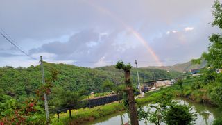 최현수님의 기타작물 · 영농일지 작성글 사진