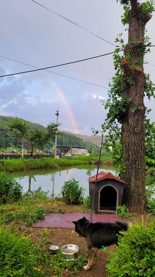 최현수님의 기타작물 · 영농일지 작성글 사진