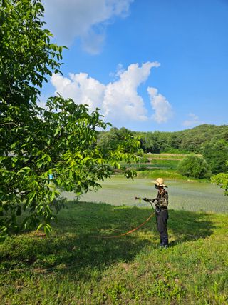 신칼라님의 기타작물 · 영농일지 작성글 사진