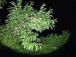 배경수 님의 자유주제 · 자유게시판 작성글 사진