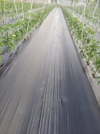 김종옥님의 자유주제 · 자유게시판 작성글 사진