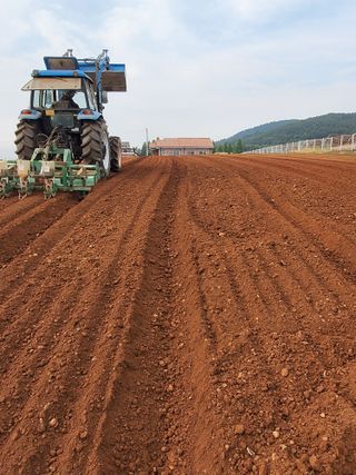 김종옥님의 자유주제 · 자유게시판 작성글 사진