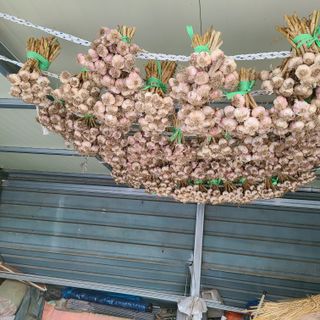 knlee님의 자유주제 · 자유게시판 작성글 사진