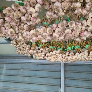 knlee님의 자유주제 · 자유게시판 작성글 사진