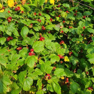 knlee님의 자유주제 · 자유게시판 작성글 사진