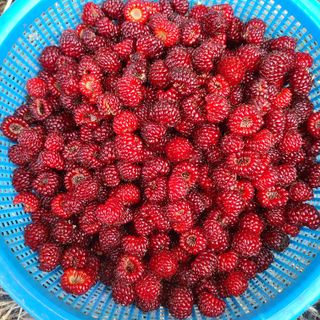 knlee님의 자유주제 · 자유게시판 작성글 사진