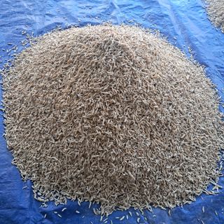 이은화님의 기타작물 · 영농일지 작성글 사진