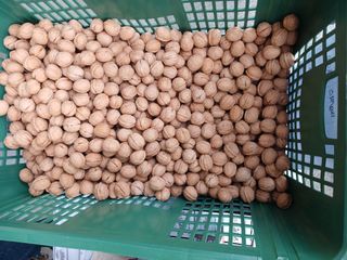 이은숙 님의 기타작물 · 영농일지 작성글 사진