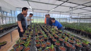 야산 양 형근님의 자두 · 자유게시판 작성글 사진