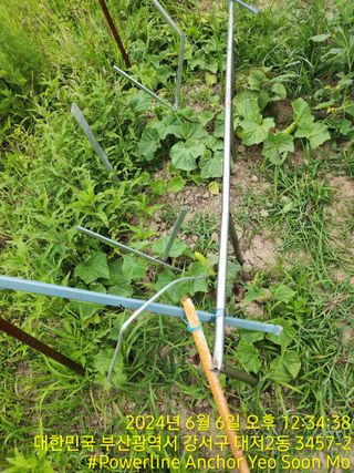 황동 여순모님의 상추 · 영농일지 작성글 사진