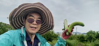 황동 여순모님의 상추 · 영농일지 작성글 사진