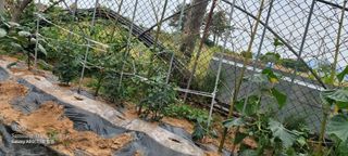 ♥️사랑♥️님의 자유주제 · 자유게시판 작성글 사진