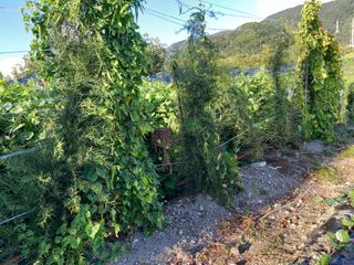 상추10383님의 자유주제 · 자유게시판 작성글 사진