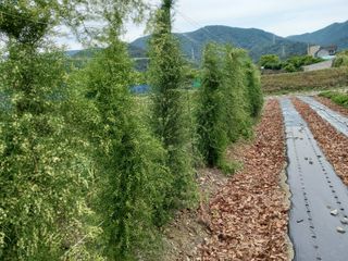 상추10383님의 자유주제 · 자유게시판 작성글 사진