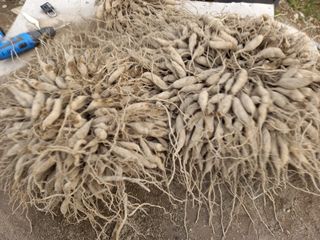 상추10383님의 자유주제 · 자유게시판 작성글 사진