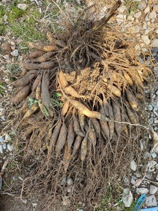 상추10383님의 자유주제 · 자유게시판 작성글 사진