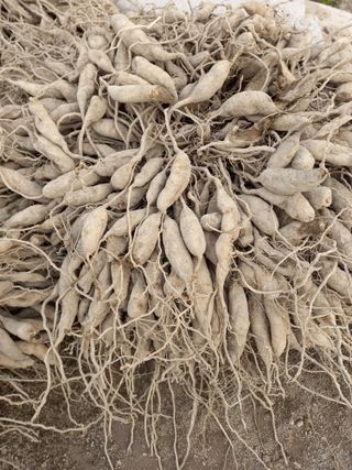 상추10383님의 자유주제 · 자유게시판 작성글 사진