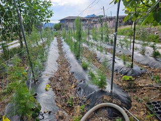 상추10383님의 자유주제 · 자유게시판 작성글 사진