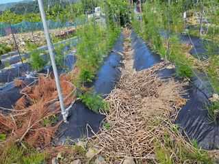 상추10383님의 자유주제 · 자유게시판 작성글 사진